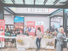 Festival sociálních služeb v Třebíči nabídne příběhy, zážitky i inspiraci