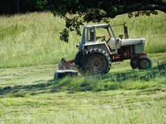 V Moravských Knínicích ukradli malotraktor