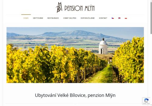 Libor Brůček nabízí práci na pozici POMOCNÁ SÍLA DO KUCHYNĚ - POMOCNÝ KUCHAŘ/KUCHAŘKA v obci Velké Bílovice