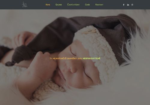 Zobrazit webové stránky Fotografické služby – Lucie Šibíčková