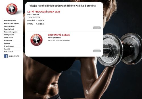 Zobrazit webové stránky Bílý králík