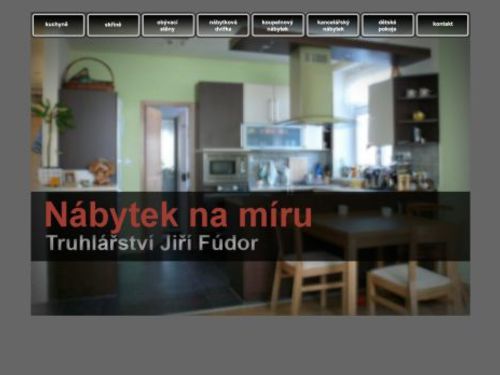 Jiří Fúdor, DiS.