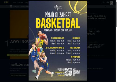 Webové stránky Sportovní klub Královka, spolek, Praha