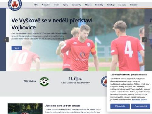 Městský fotbalový klub Vyškov